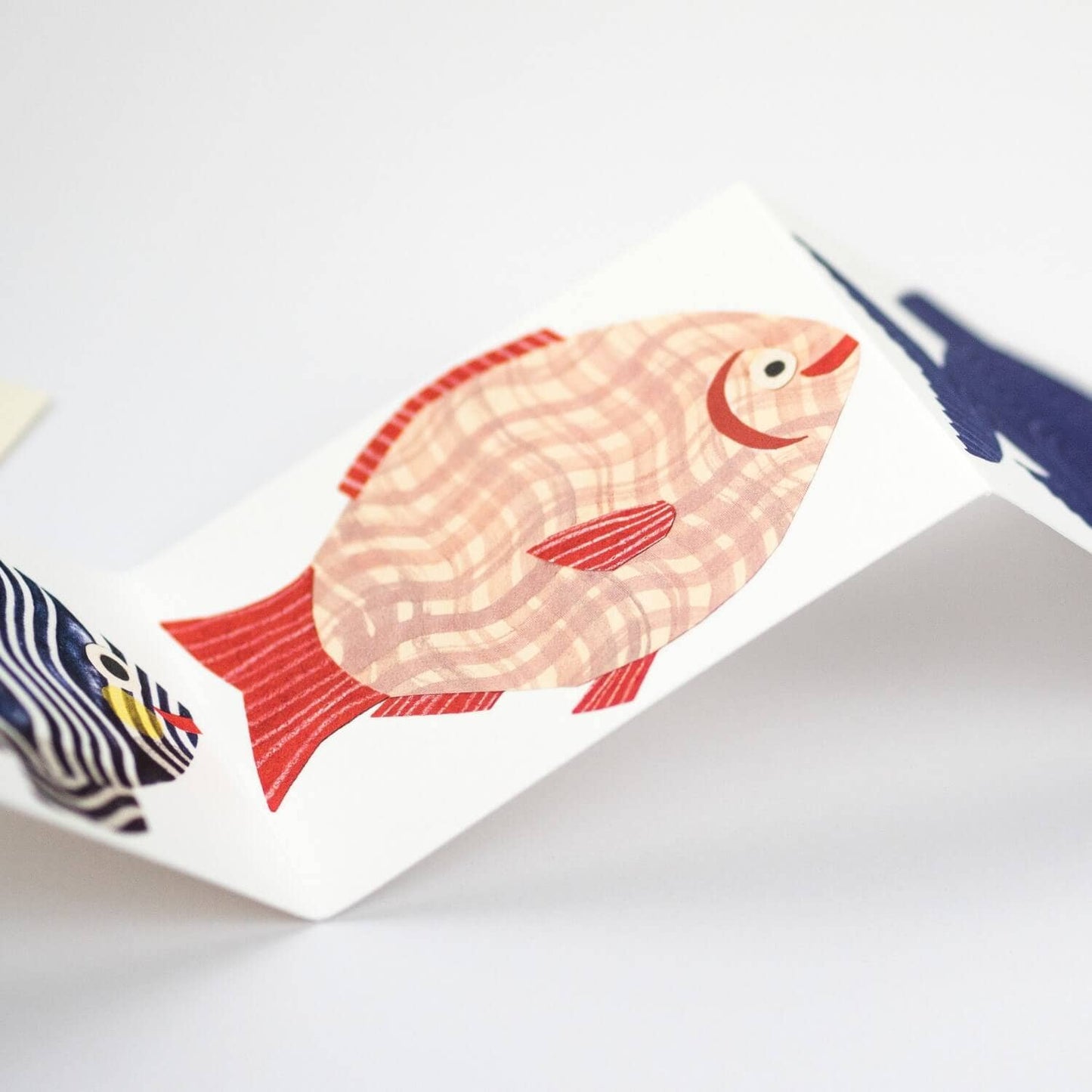 Fish Concertina Greetings Card