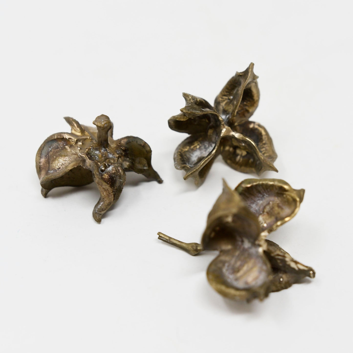 Individual Cluster Pod Original Bronze by Kedisha Coakley