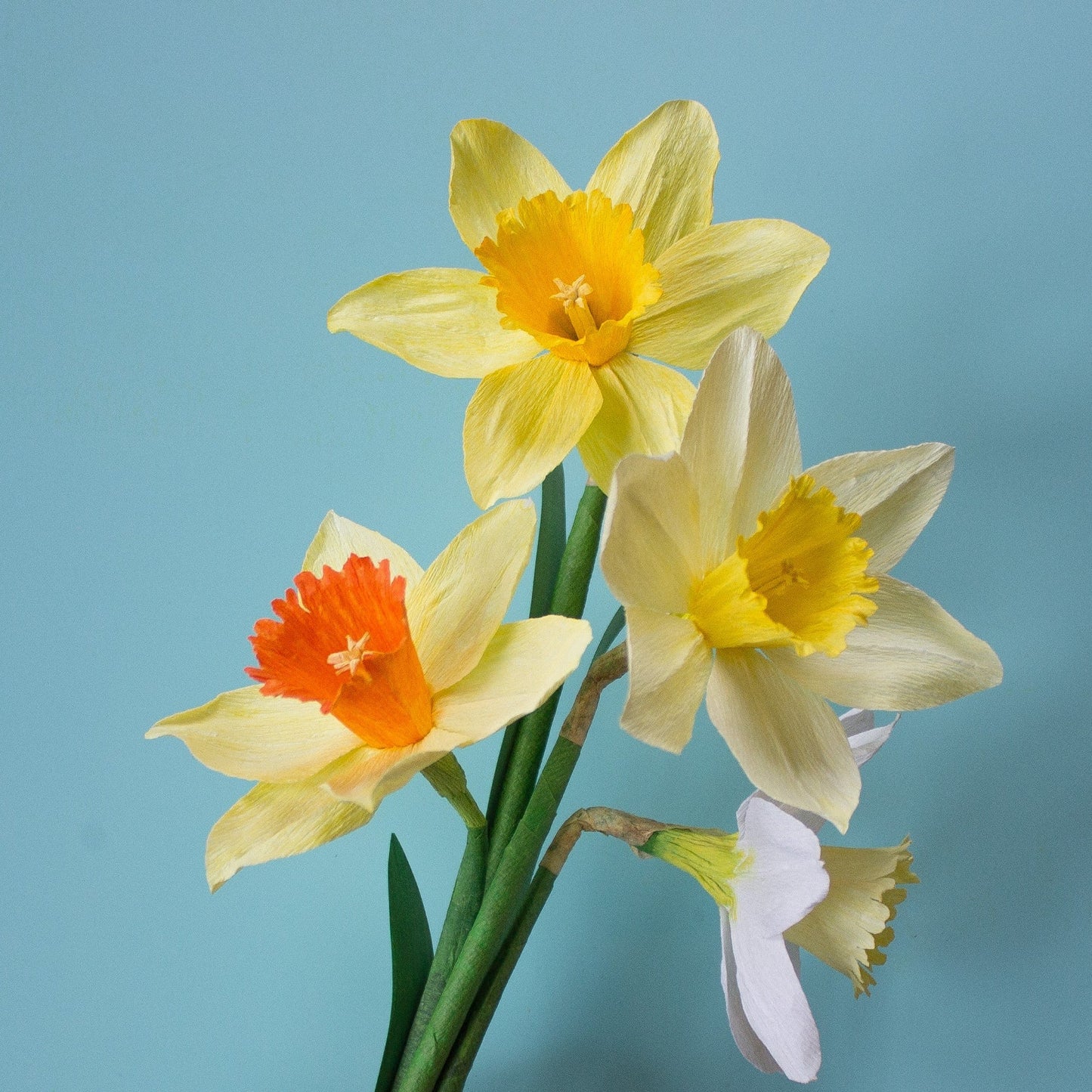 Paper Daffodil Kit by Olivia Joy Flowers