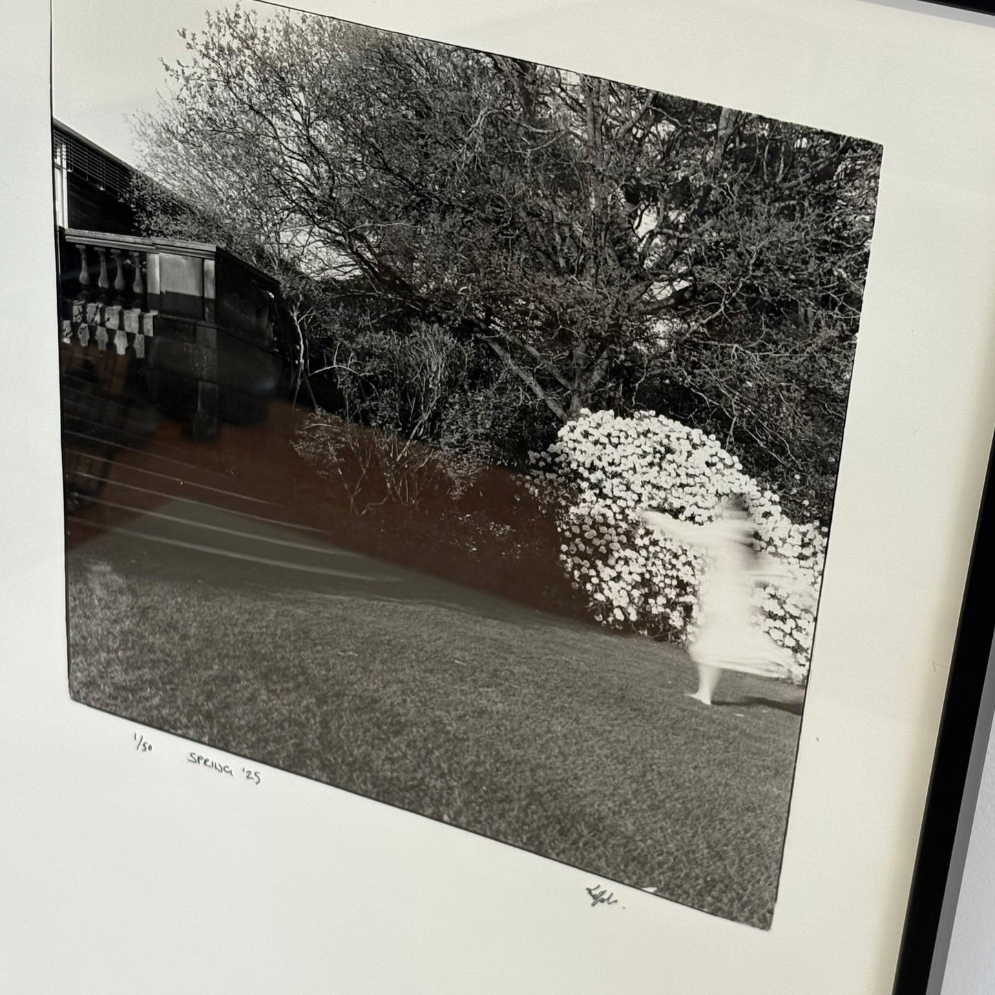 Spring '25 by Emily Ryalls