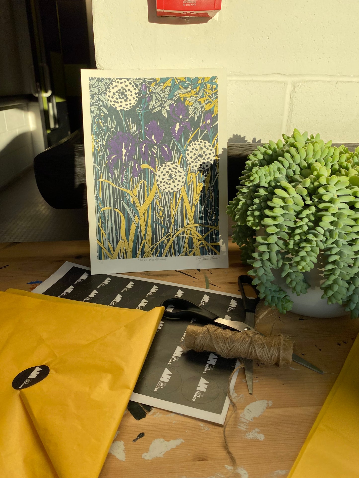 Iris and Alliums - Rachel Knowles