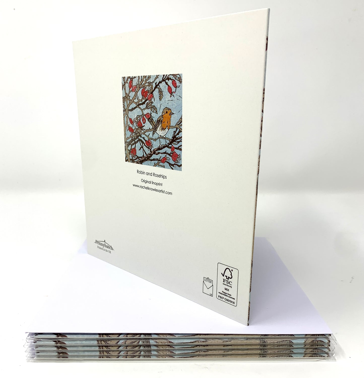 Robin Greetings Card by Rachel Knowles