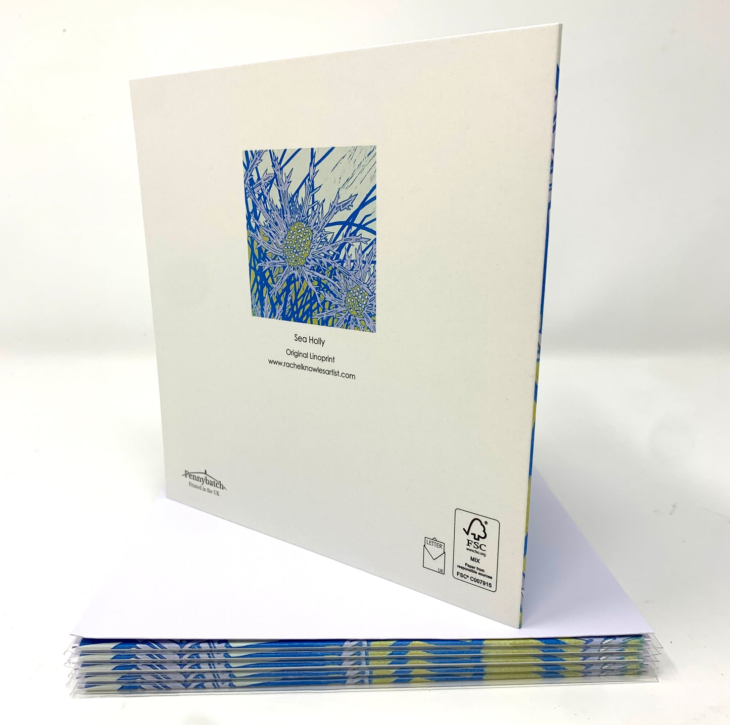 Sea Holly Greetings Card by Rachel Knowles