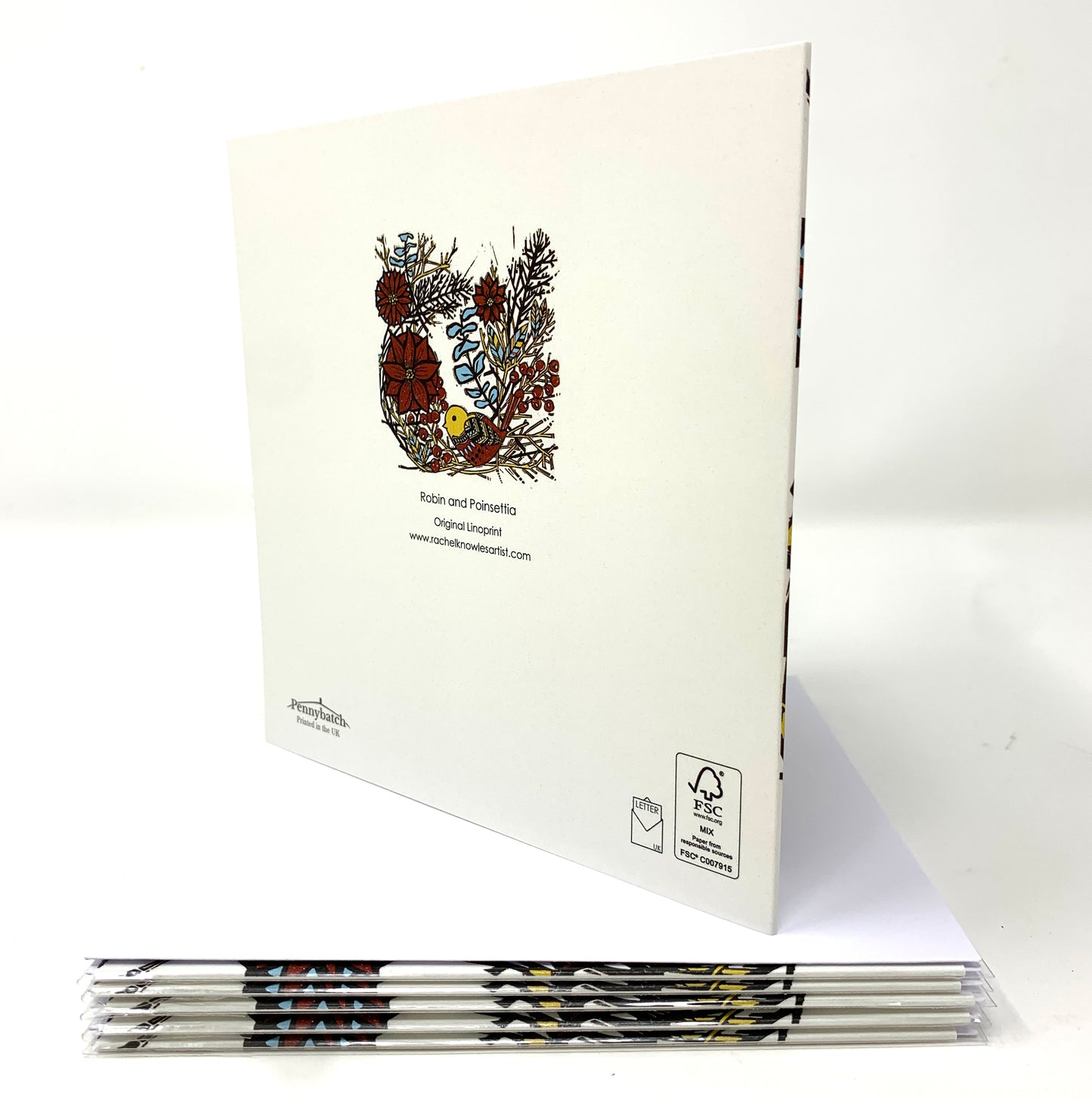 Robin & Poinsettia Greetings Card by Rachel Knowles