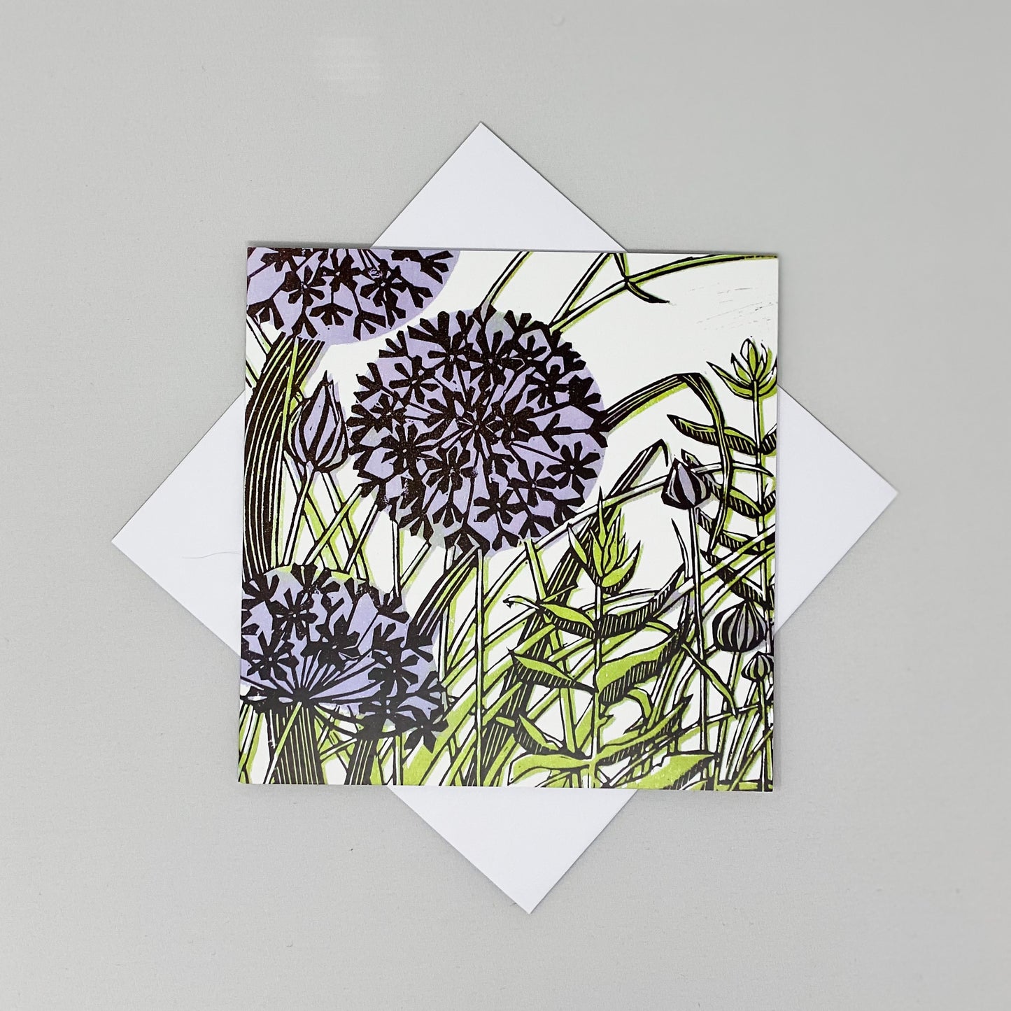 Alliums Greetings Card by Rachel Knowles