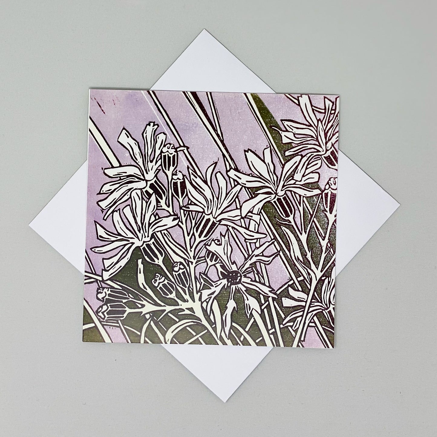 Ragged Robin Greetings Card by Rachel Knowles