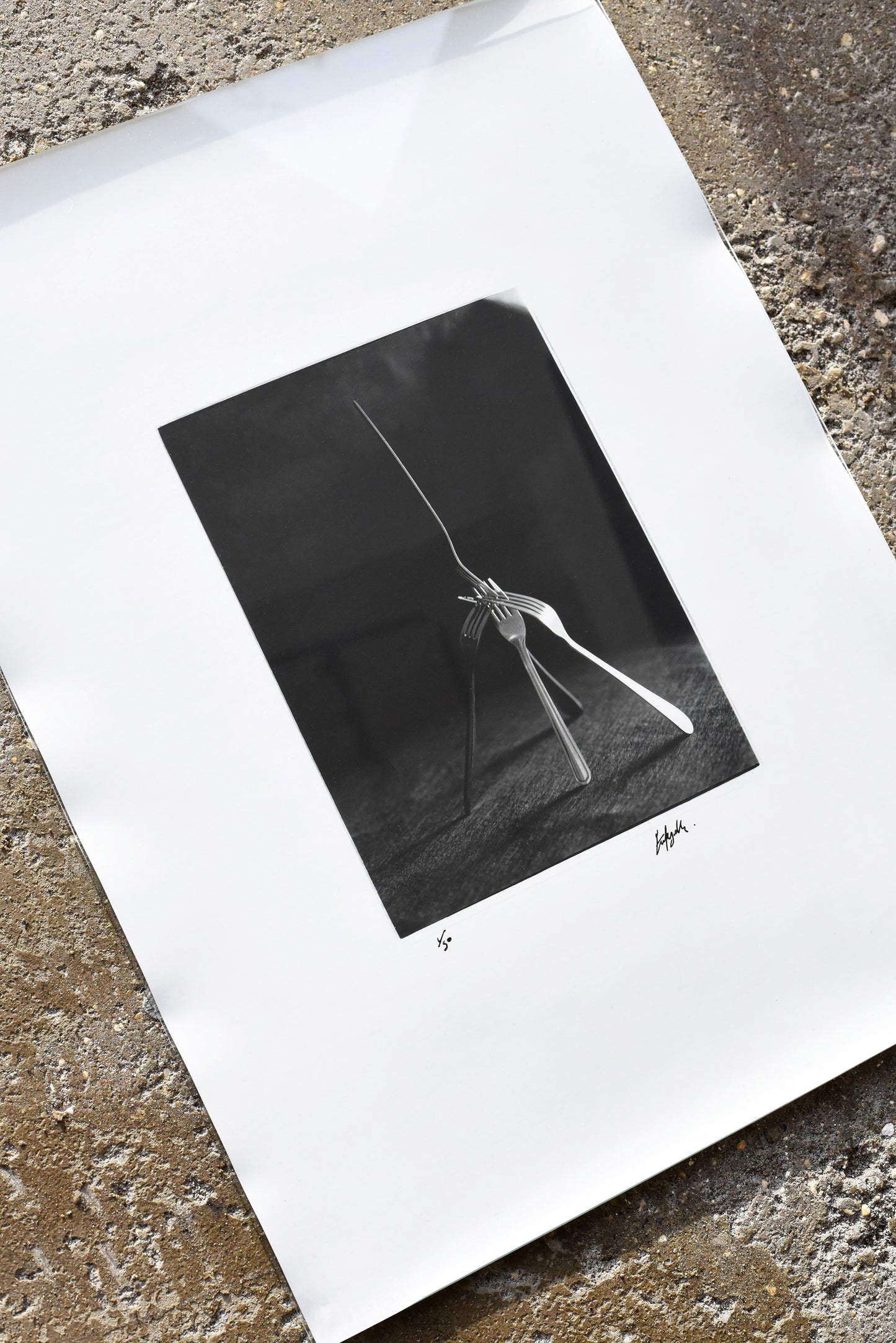 Five Forks by Emily Ryalls