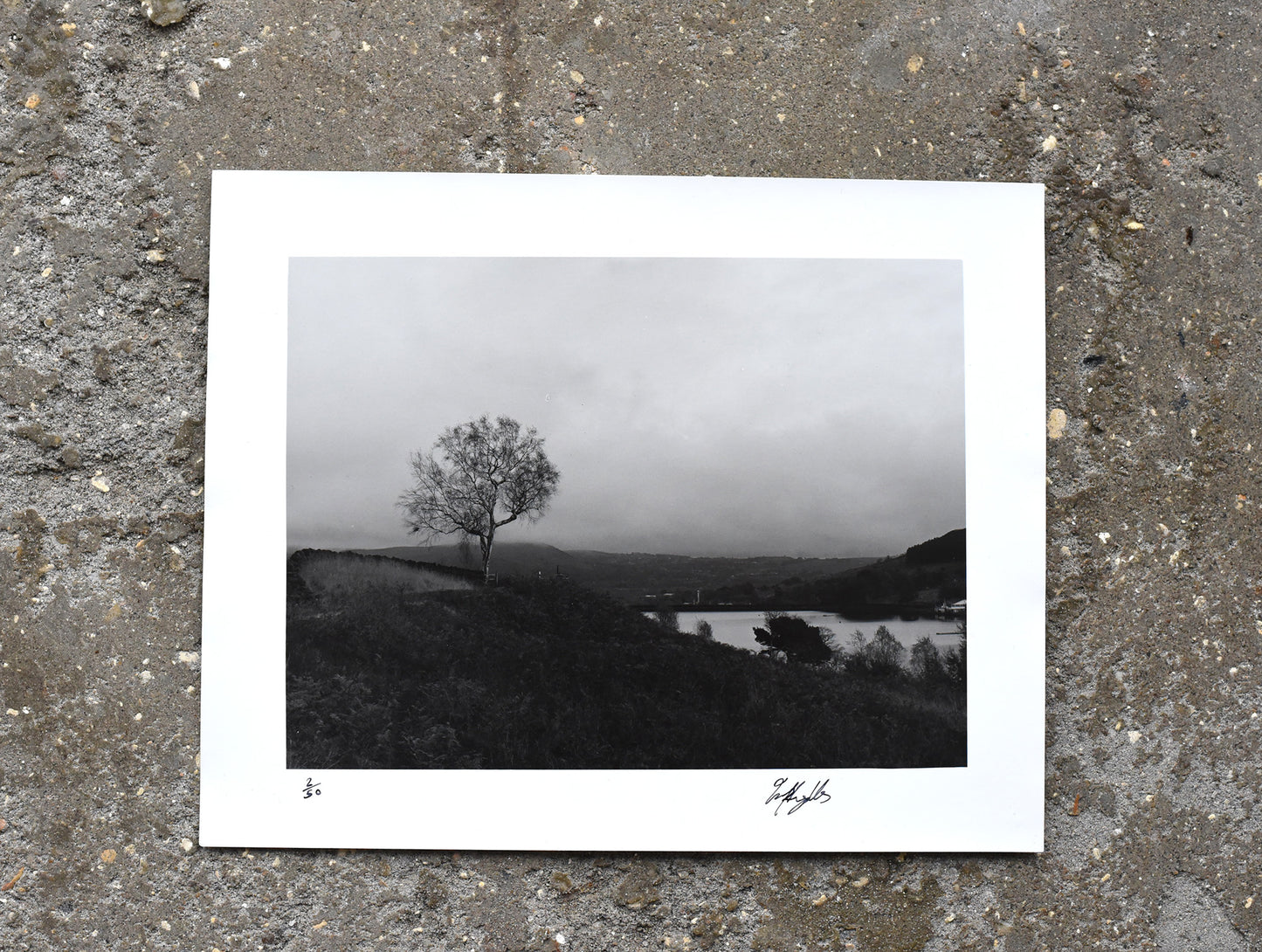 Yorkshire Moors by Emily Ryalls