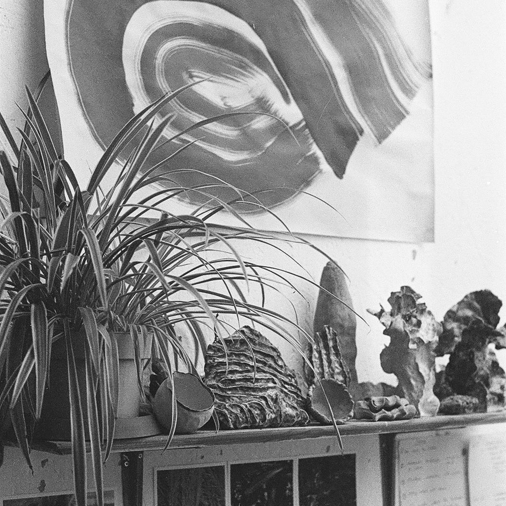 Darkroom Experience Package