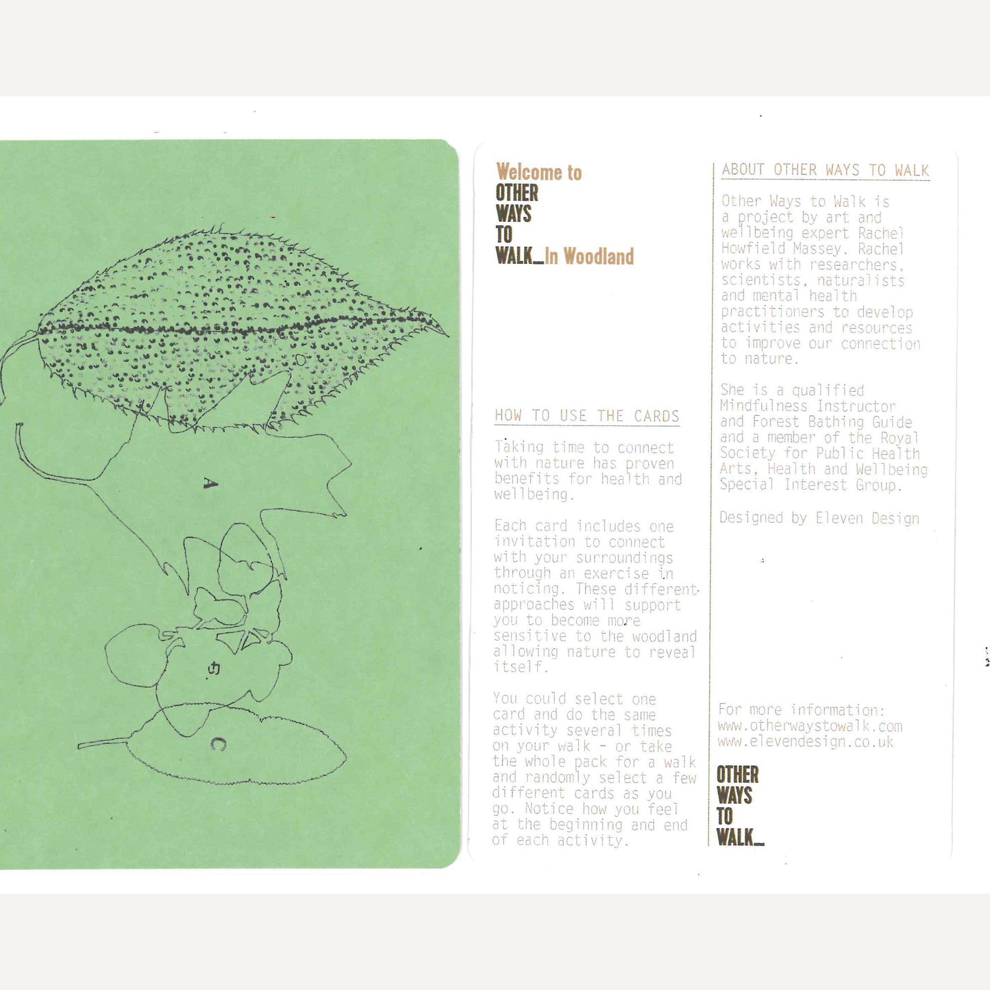 Other Ways to Walk Cards - In Woodland