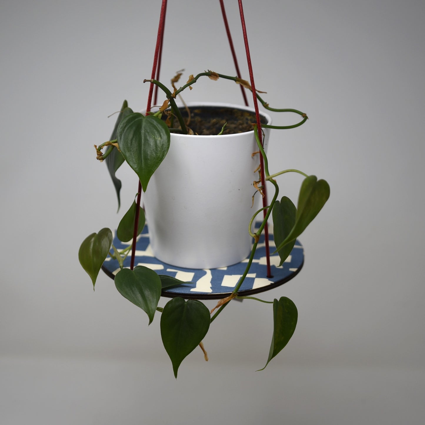 Hanging Plant Shelf by Sophie Amelia