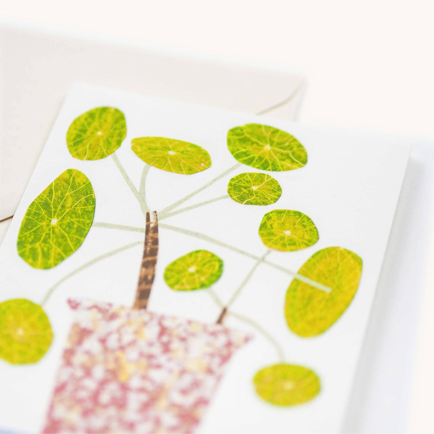 Pilea Pepermioides - Bobble Plant Card