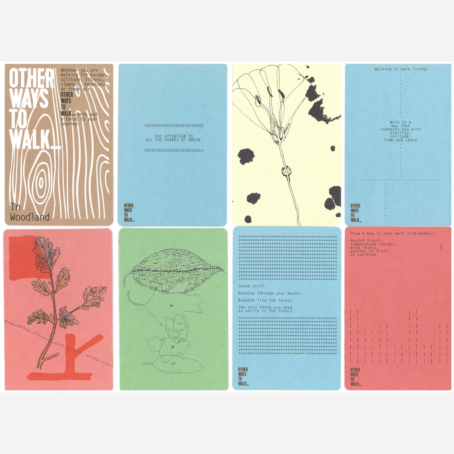 Other Ways to Walk Cards - In Woodland
