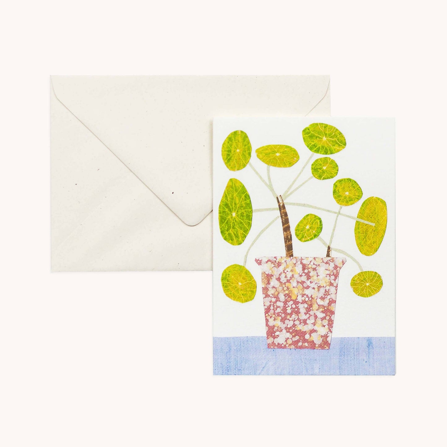 Pilea Pepermioides - Bobble Plant Card