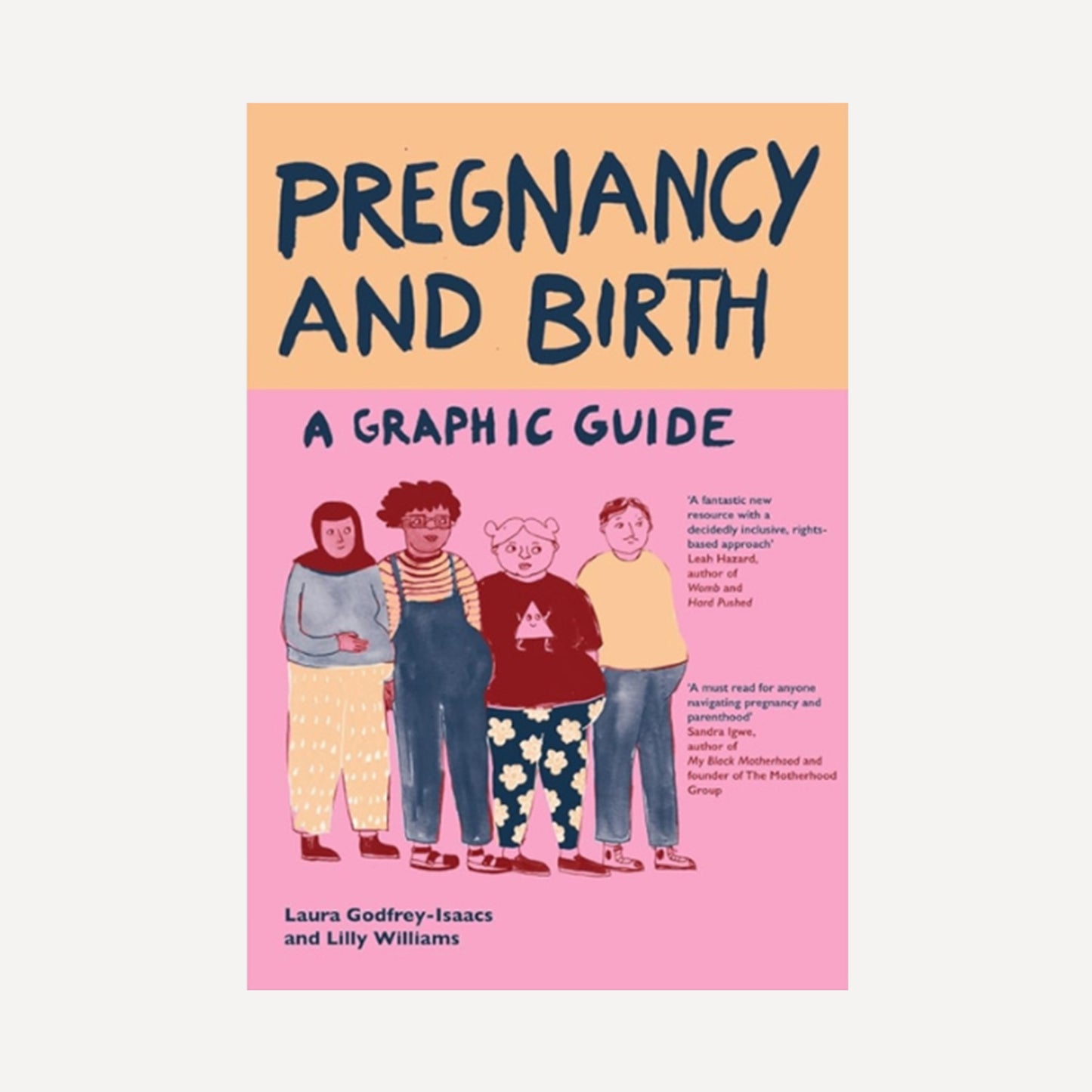 Pregnancy and Birth: A Graphic Guide