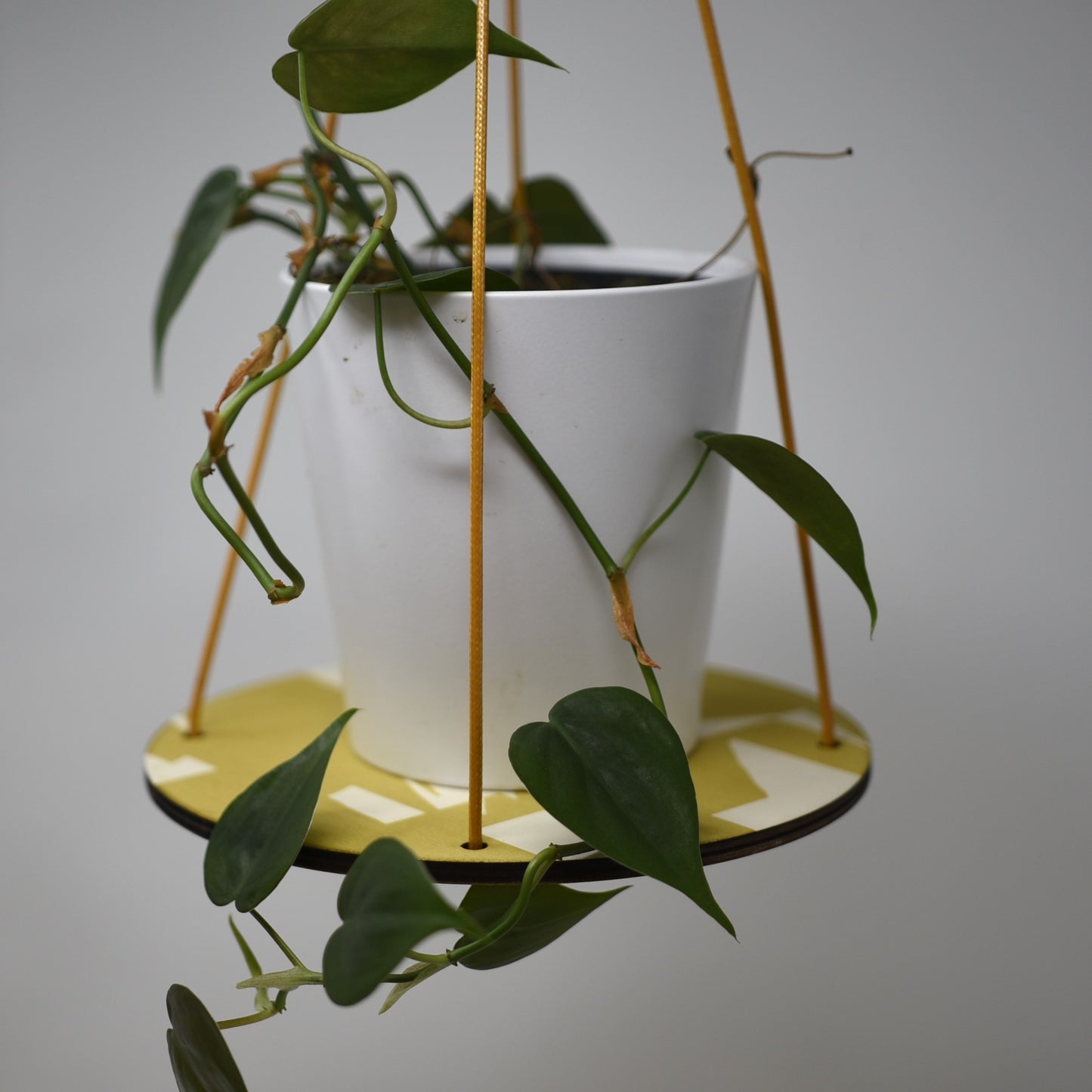 Hanging Plant Shelf by Sophie Amelia