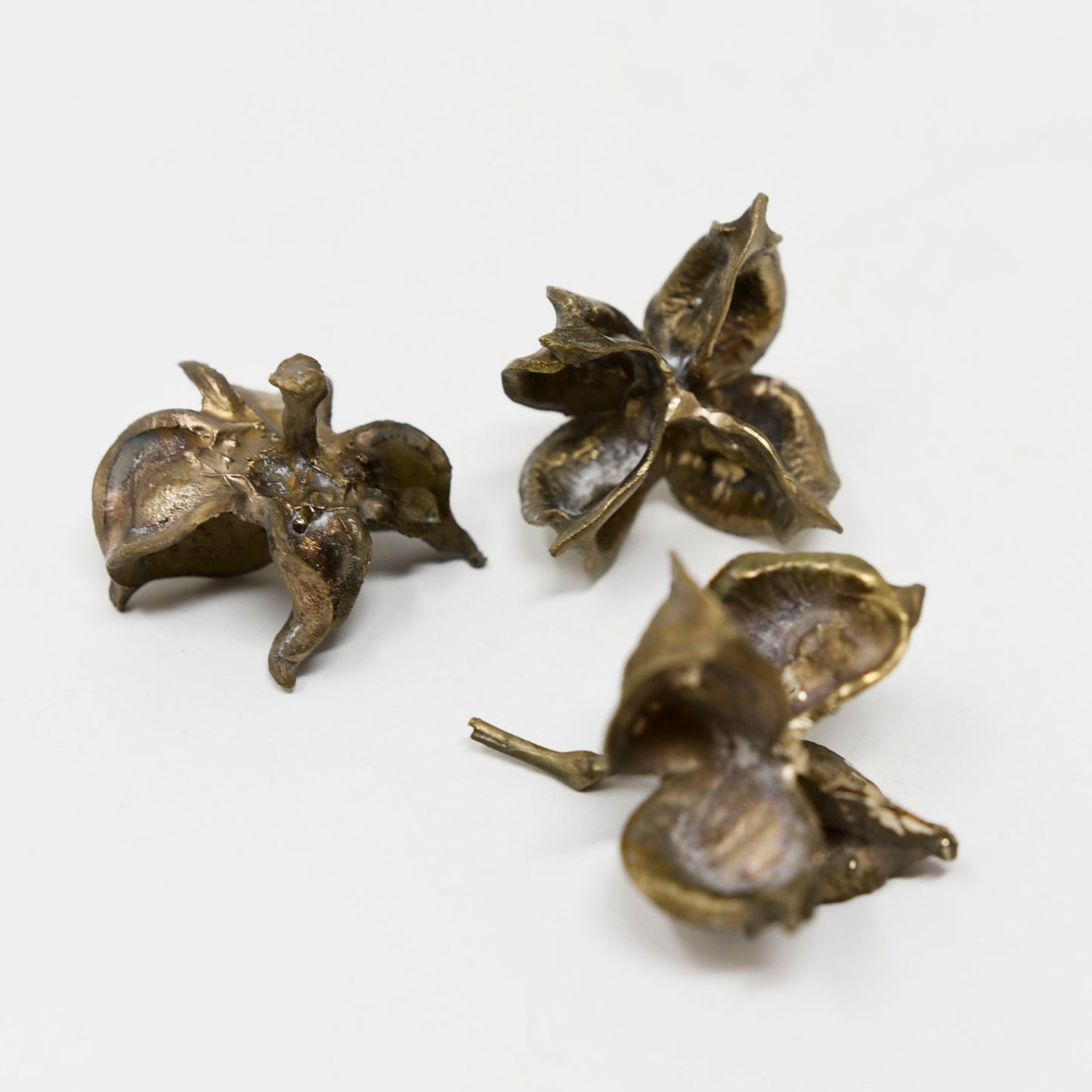 Seed Pod Clusters Original Bronzes by Kedisha Coakley