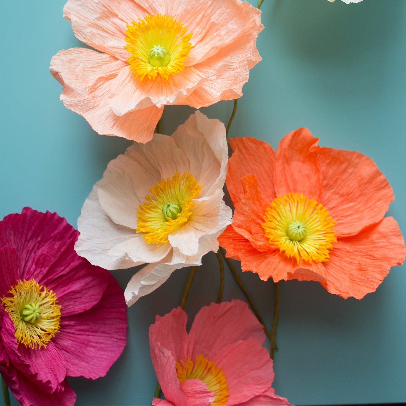 Paper Poppies Kit by Olivia Joy Flowers
