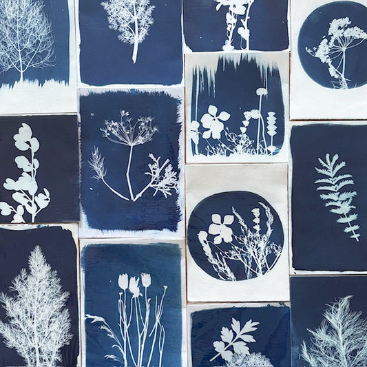 Cyanotype Prints