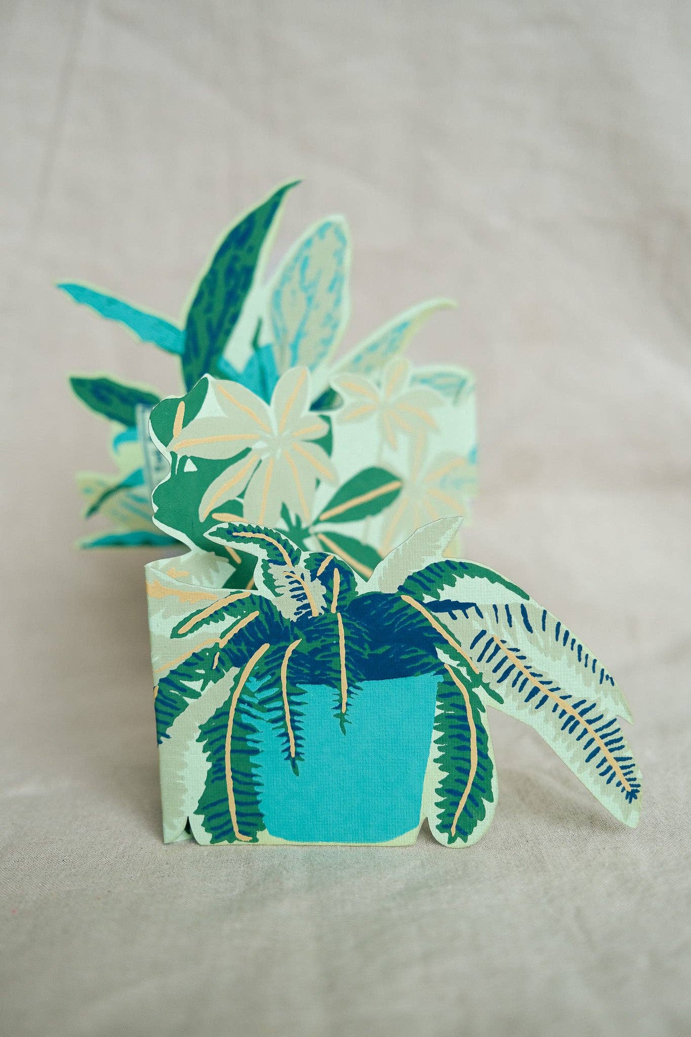 Plant Pot Concertina Greeting Card: C5