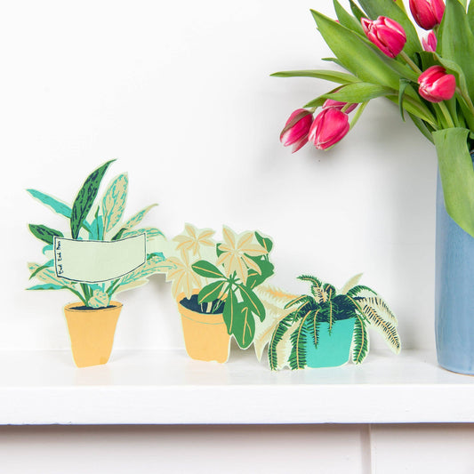 Plant Pot Concertina Greeting Card: C5