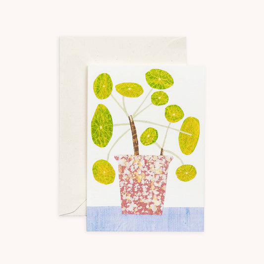 Pilea Pepermioides - Bobble Plant Card