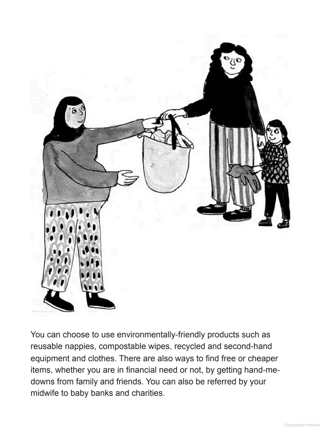 Pregnancy and Birth: A Graphic Guide