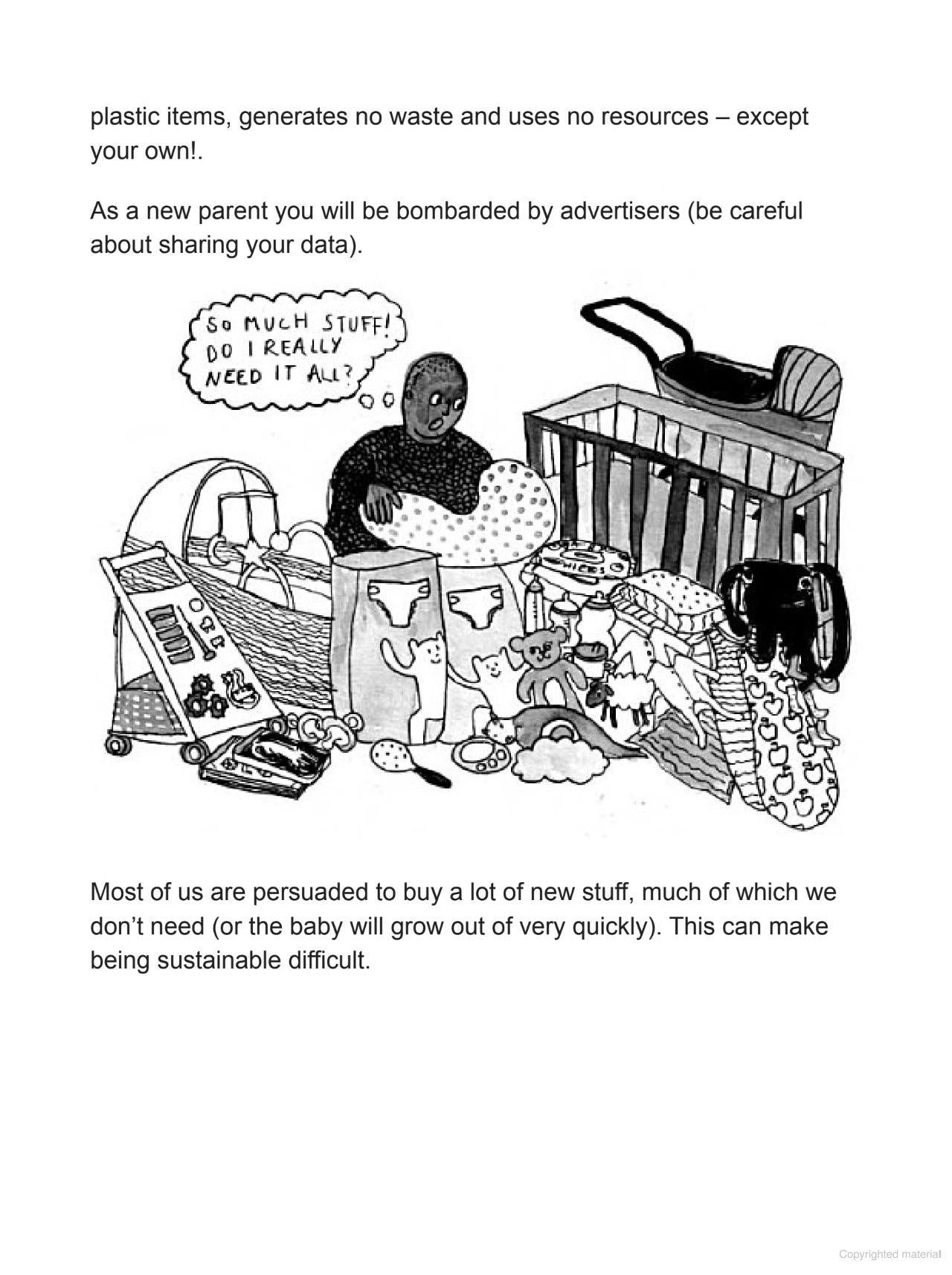 Pregnancy and Birth: A Graphic Guide