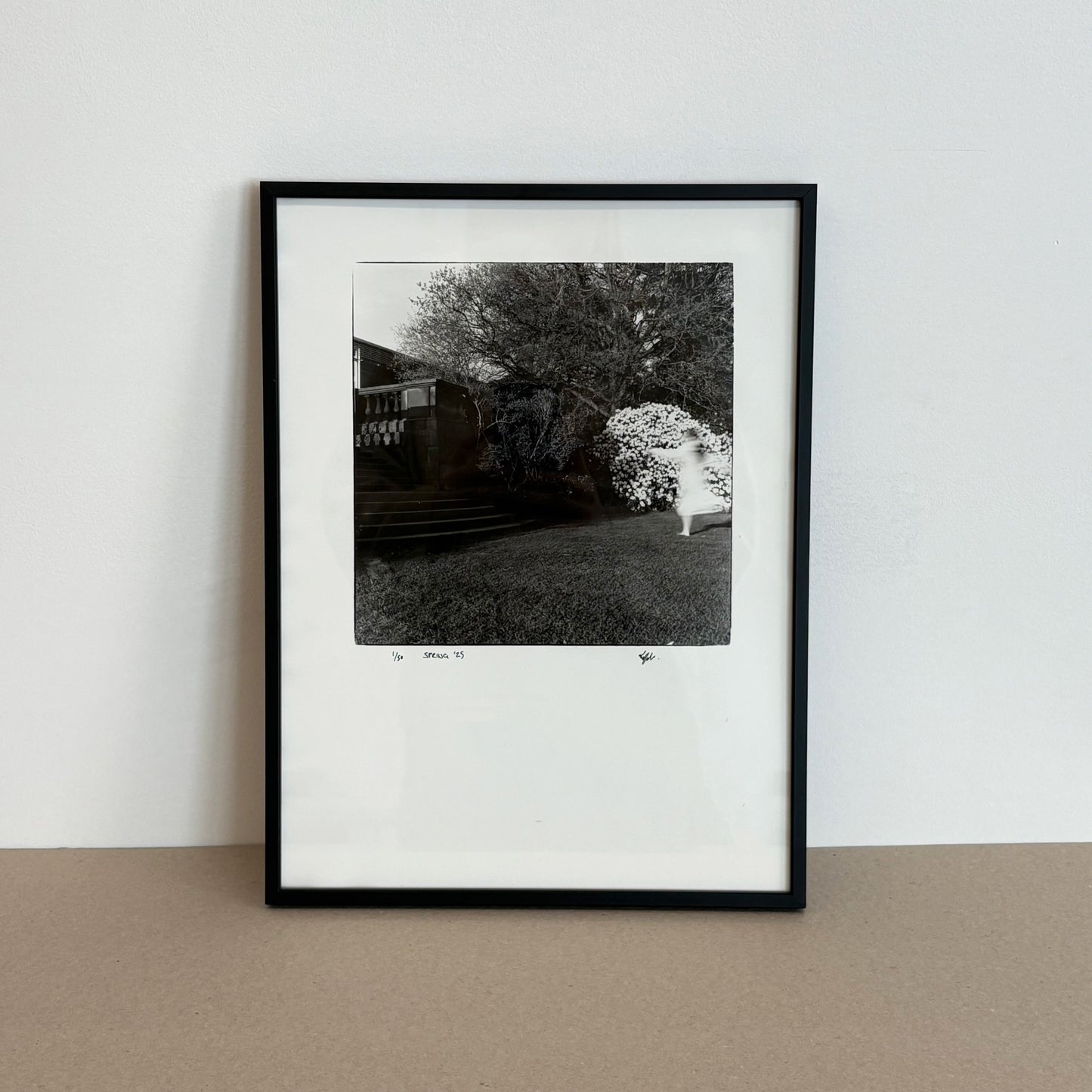 Spring '25 by Emily Ryalls