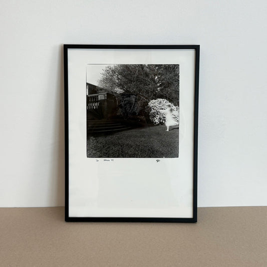 Spring '25 by Emily Ryalls