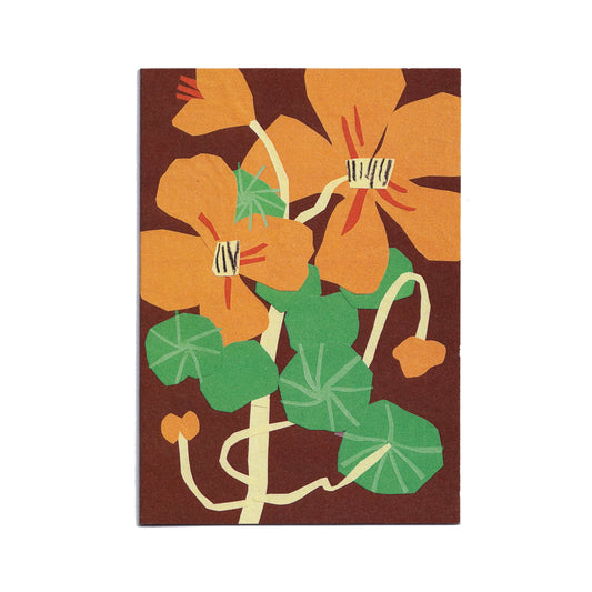 Nasturtiums Greeting Card by Cait McEniff