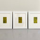 Tiny Memories of Moss Series by Helen Thomas