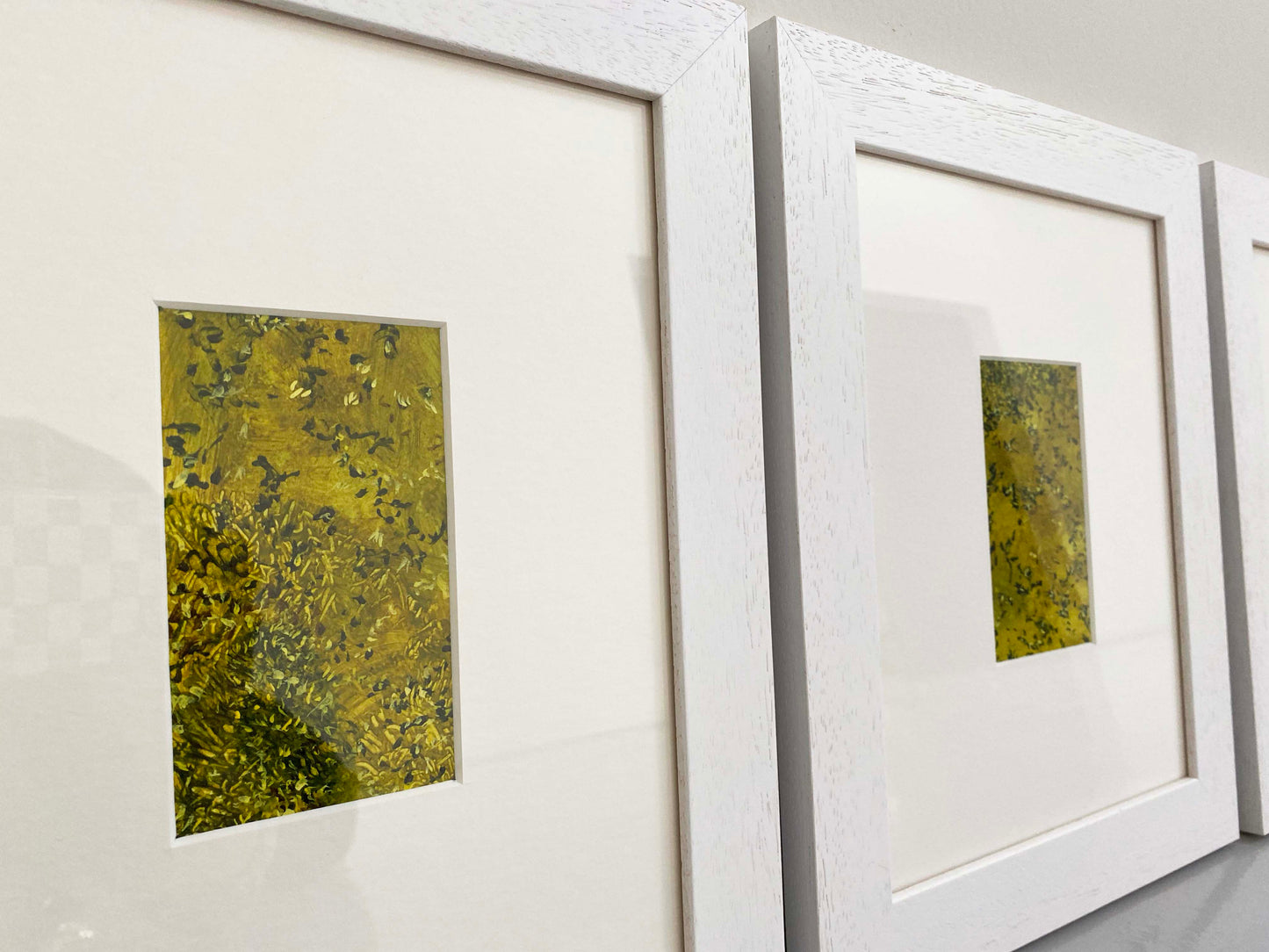Tiny Memories of Moss Series by Helen Thomas