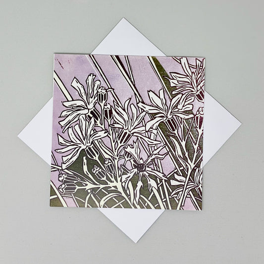 Ragged Robin Greetings Card by Rachel Knowles