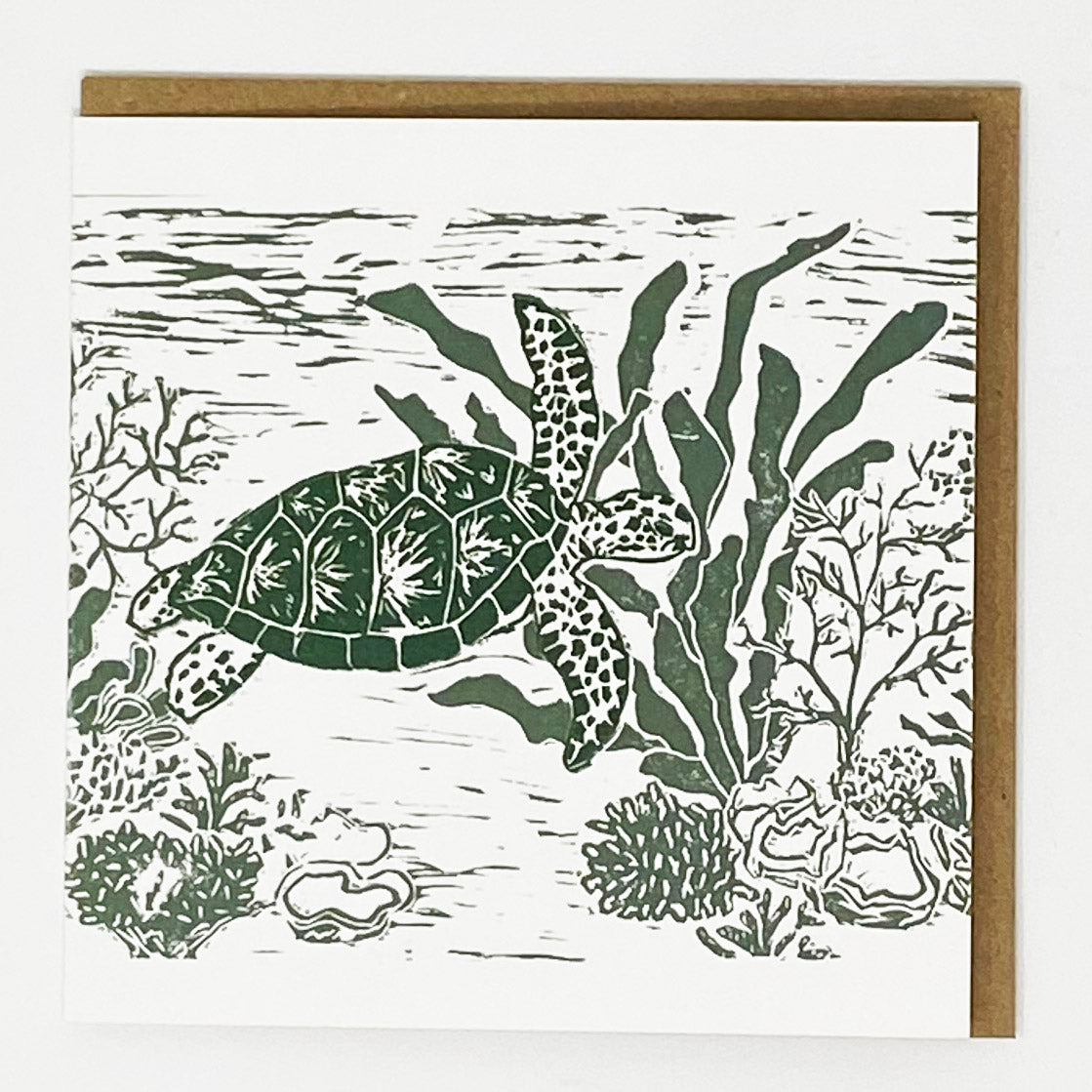 Turtle Card by LDMDesign