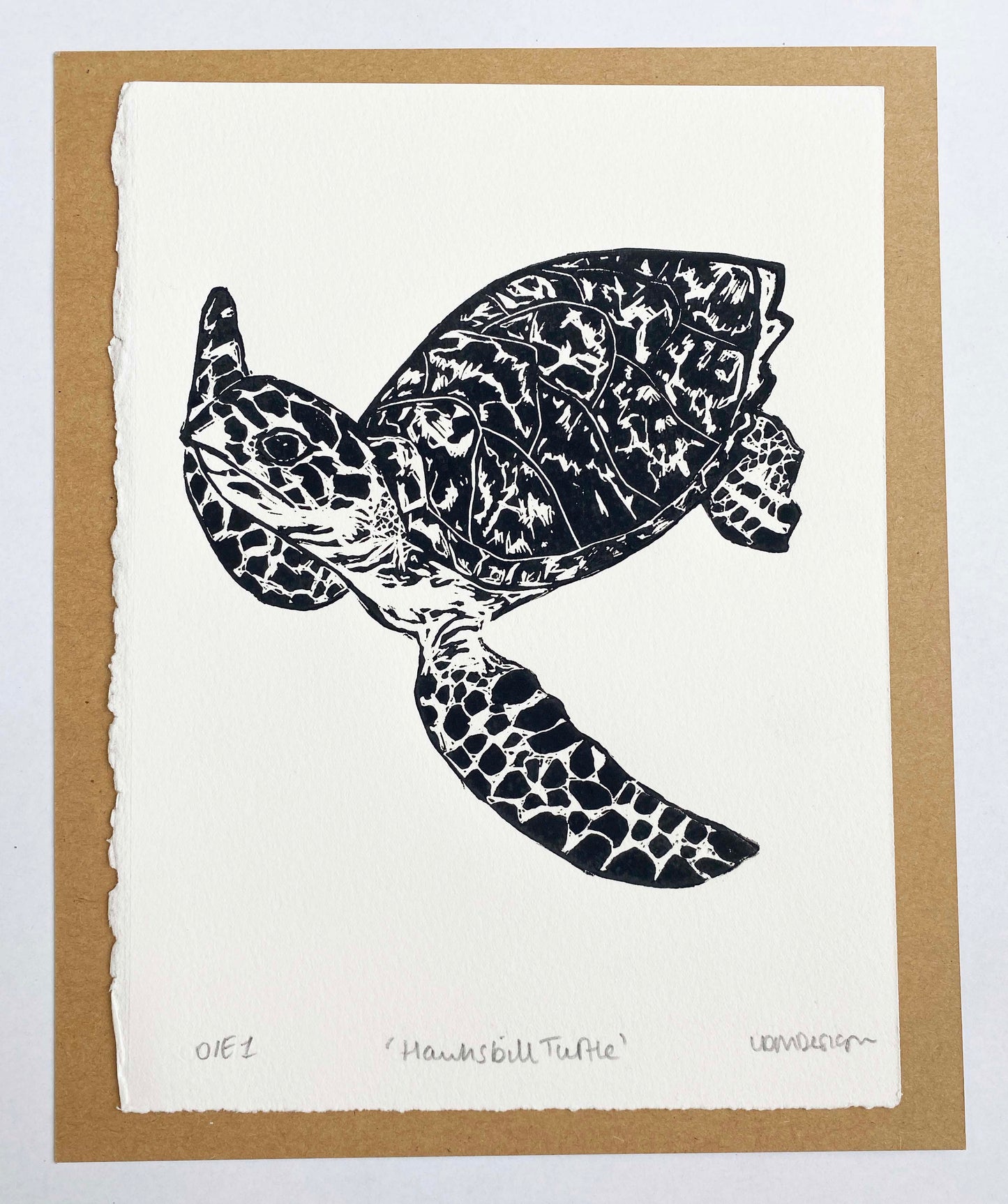 Hawksbill Turtle Print by LDMDesign