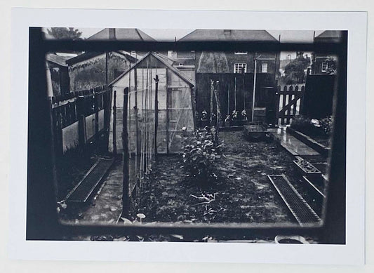 Kitchen View Postcard by Robert Broad