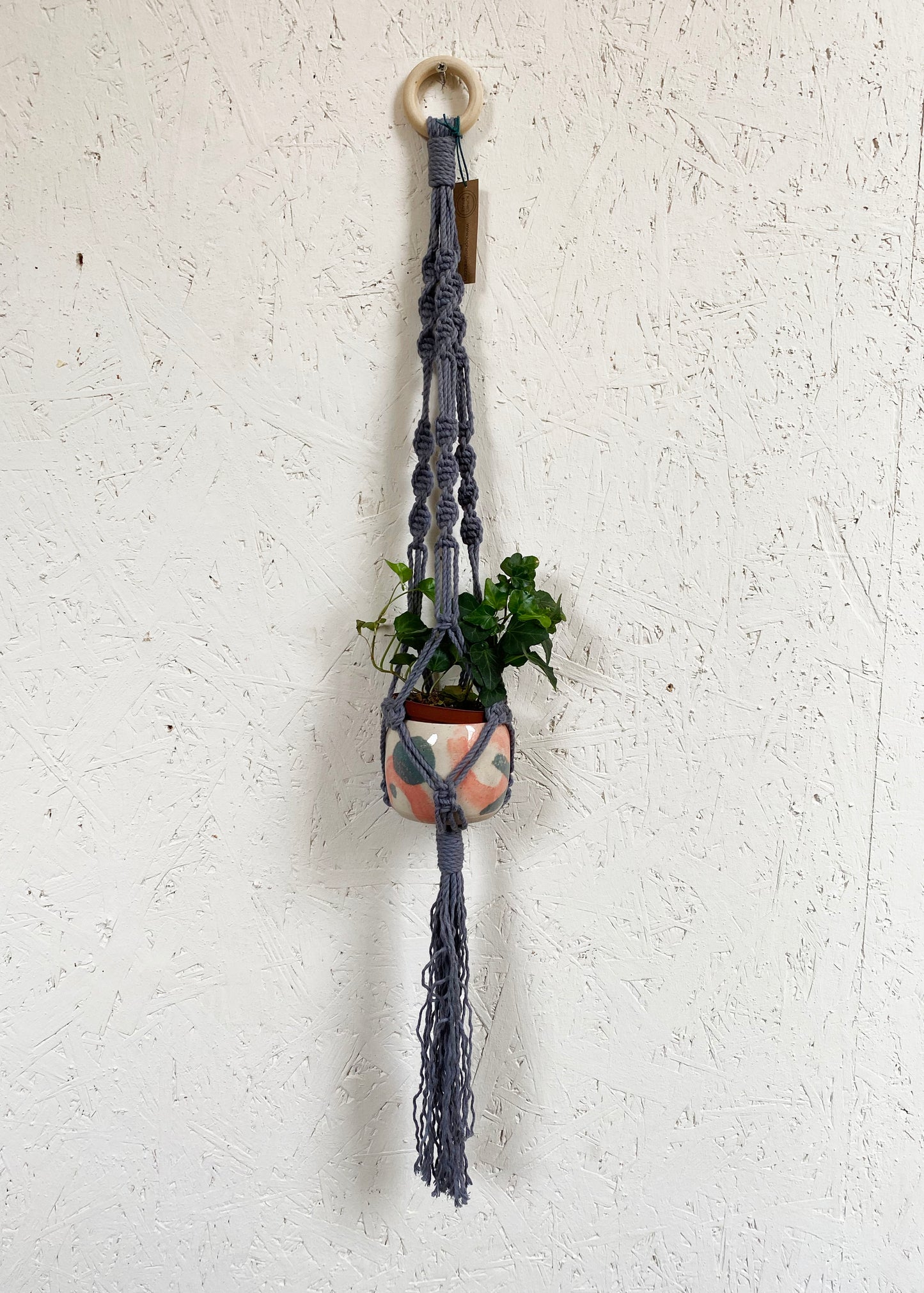 Macrame Plant Hanger by Sophie's Spirals