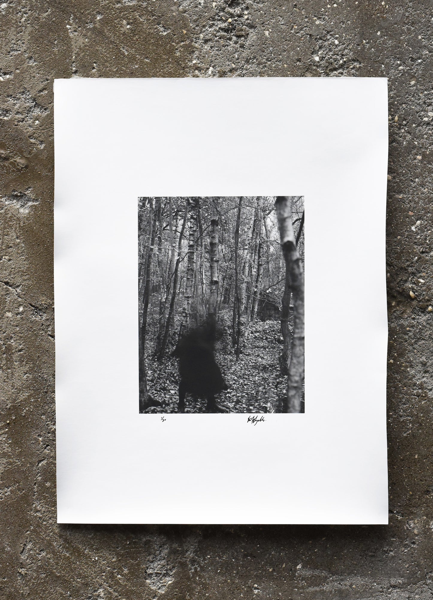 Seckar Woods by Emily Ryalls