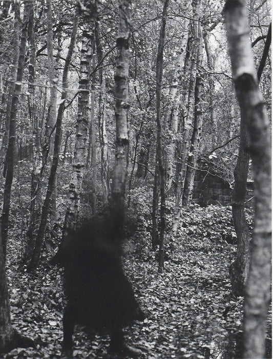 Seckar Woods by Emily Ryalls