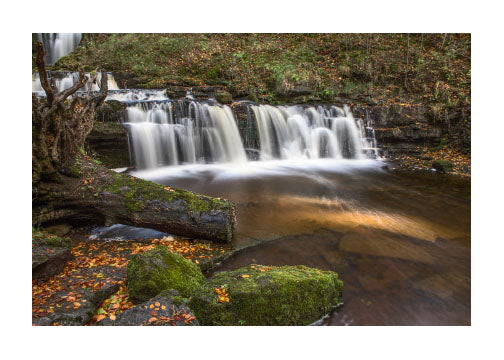 Scaleber Force Greetings Card by Jim Souper